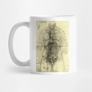 Human Anatomy Female Torso by Leonardo da Vinci Mug